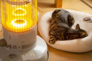 アルネットホームの家は寒い？標準仕様の口コミ・評判と対策法を解説