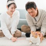 一条工務店のペットドアは必要?設置の注意点や費用・最適な選び方を解説